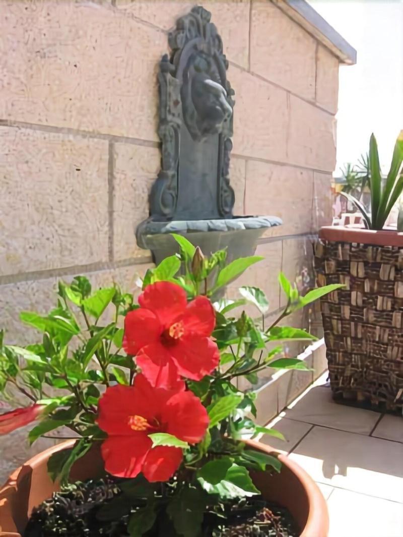 Hotel Garden Βιαρέτζιο Εξωτερικό φωτογραφία