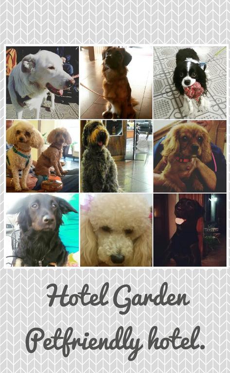 Hotel Garden Βιαρέτζιο Εξωτερικό φωτογραφία