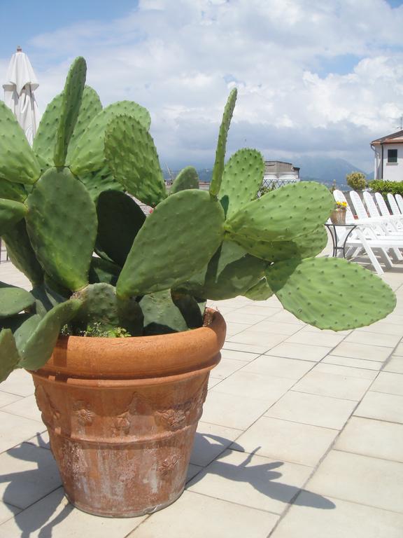 Hotel Garden Βιαρέτζιο Εξωτερικό φωτογραφία